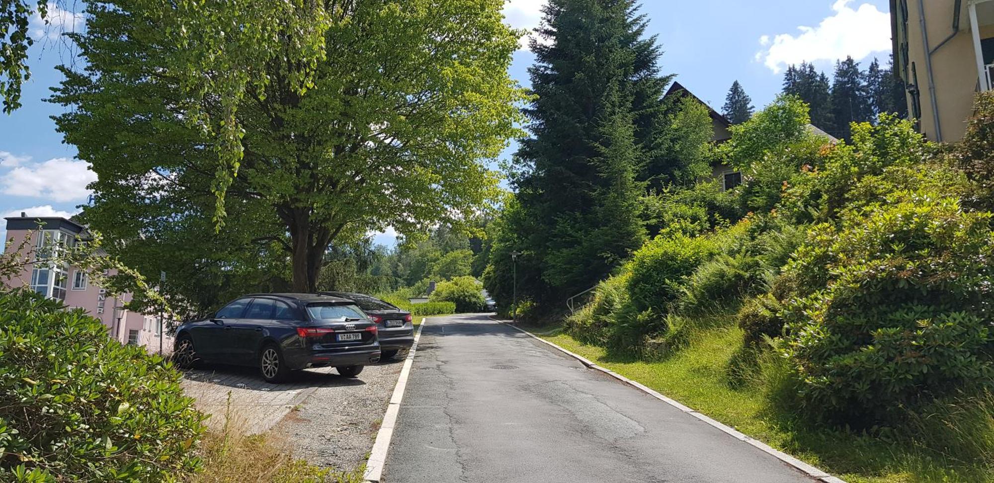 Ferienwohnungen Villa Goldbrunnen باد إلستر المظهر الخارجي الصورة