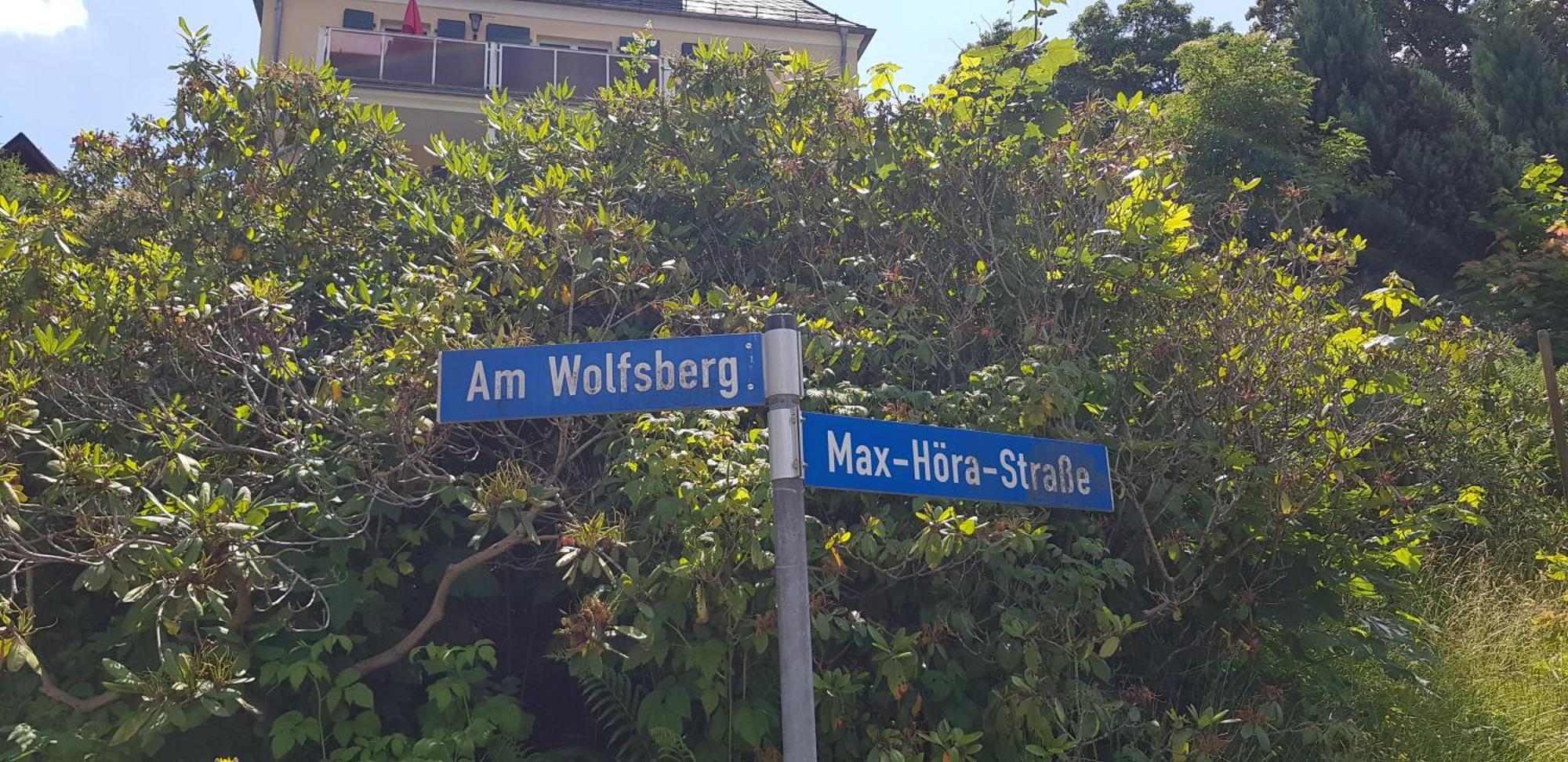 Ferienwohnungen Villa Goldbrunnen باد إلستر المظهر الخارجي الصورة