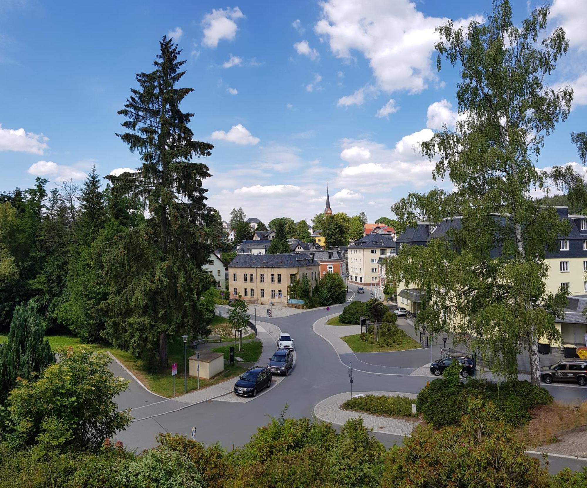 Ferienwohnungen Villa Goldbrunnen باد إلستر المظهر الخارجي الصورة