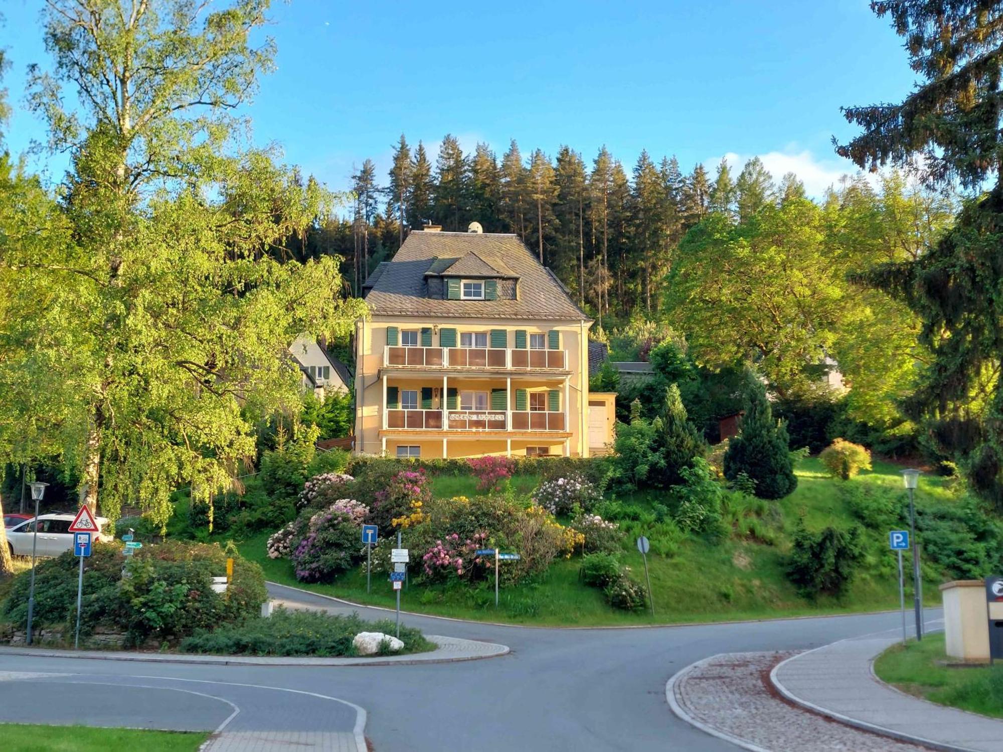 Ferienwohnungen Villa Goldbrunnen باد إلستر المظهر الخارجي الصورة